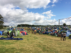 Hotbox Events volunteers working in the Leeds Festival campsites 