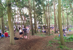 Hunting for Hotbox volunteers In the Woods at Latitude 